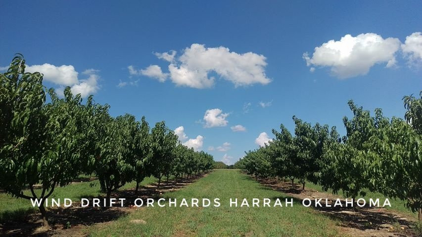 Luther旅游景点-Wind Drift Orchards