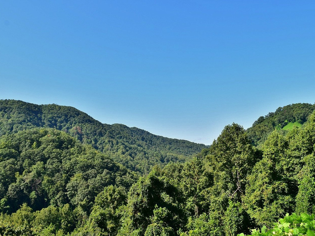 Old Fort Picnic Area
