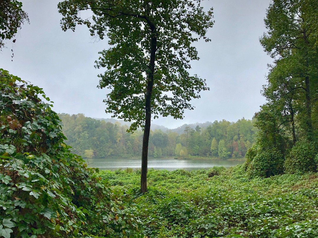 Lake Zwerner Trail-达洛尼加必去景点