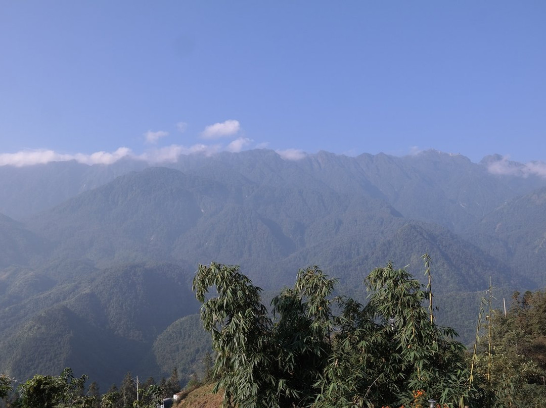 ALIANA Boutique Sapa Hotel & Spa主图