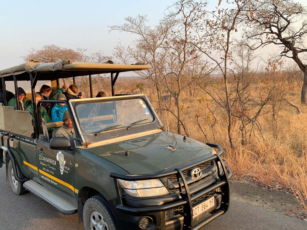 AFRICA HAKUNA MATATA SAFARIS & TOURS-开普敦中心区必去景点