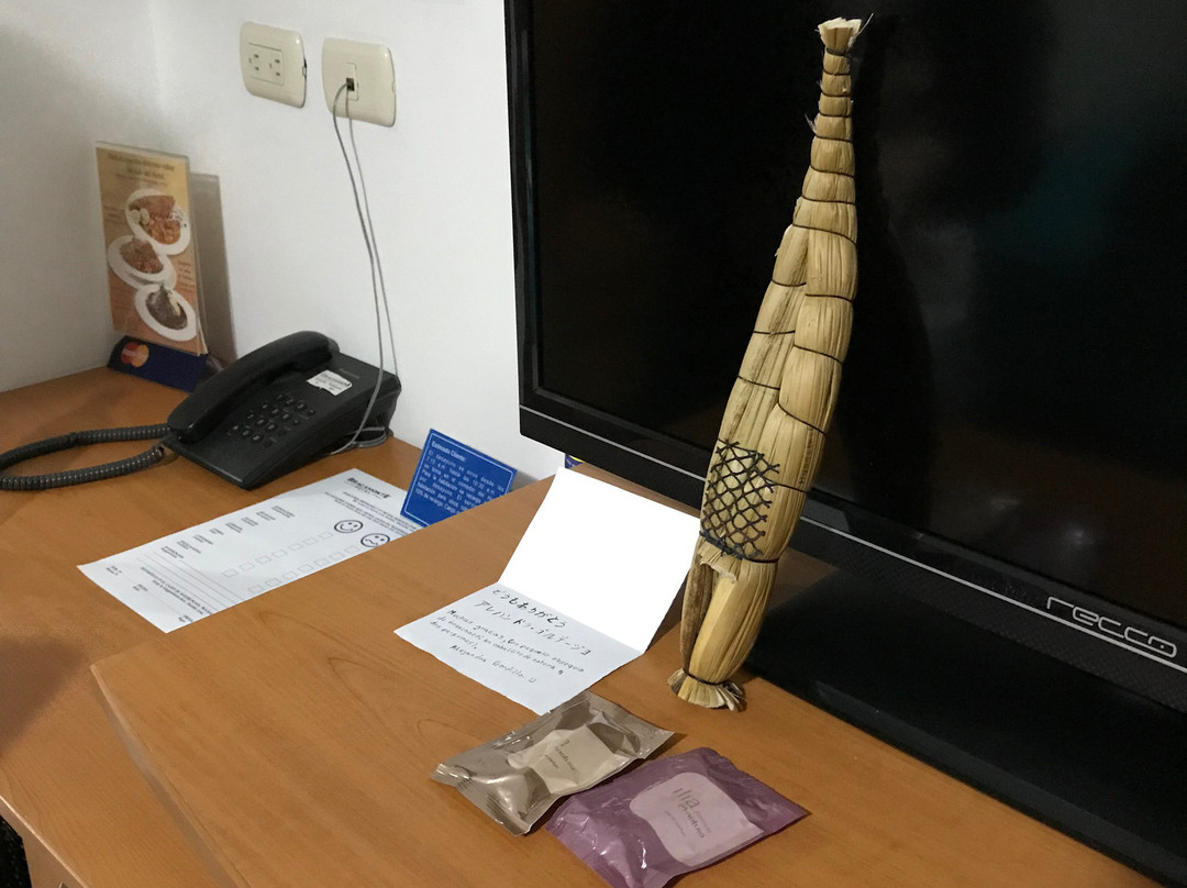 Hotel Bracamonte主图