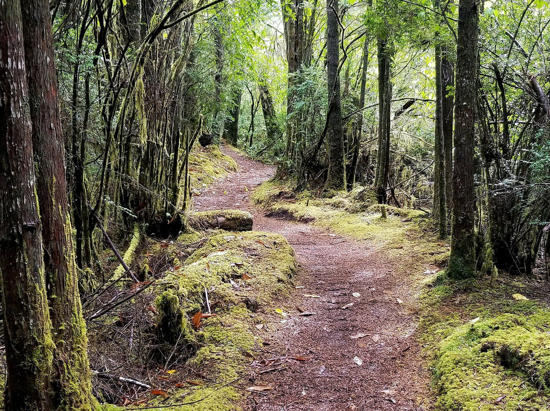 Hobbit Trail景点图片