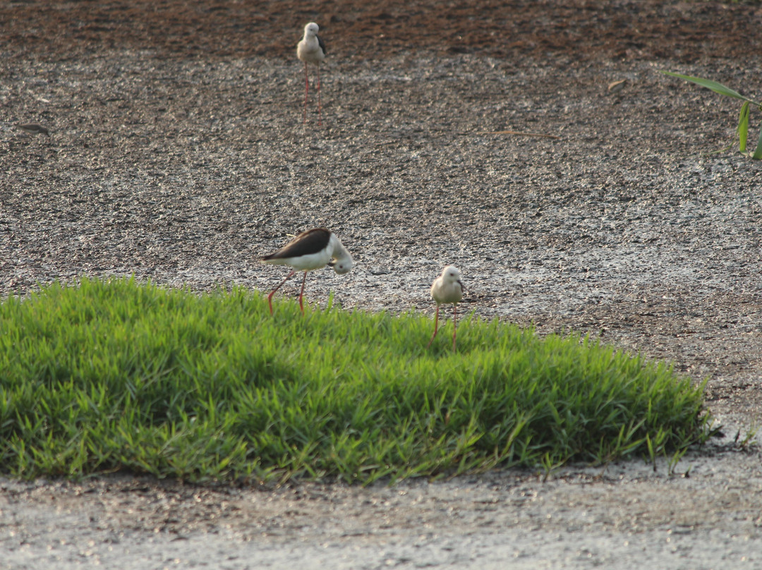 Rewild Life Biodiversity Farms景点图片