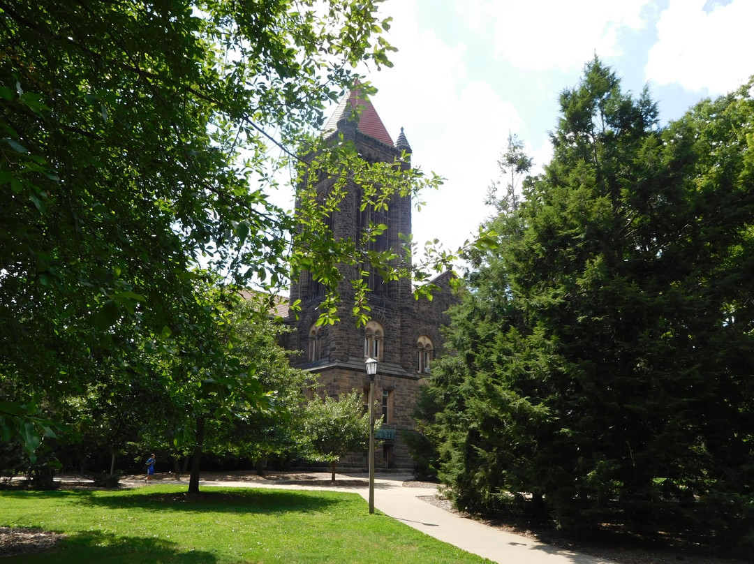 Altgeld Hall Tower景点图片