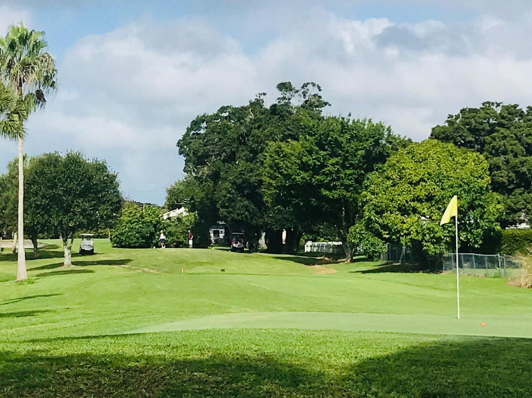 Village Green Golf Club-萨拉索塔必去景点