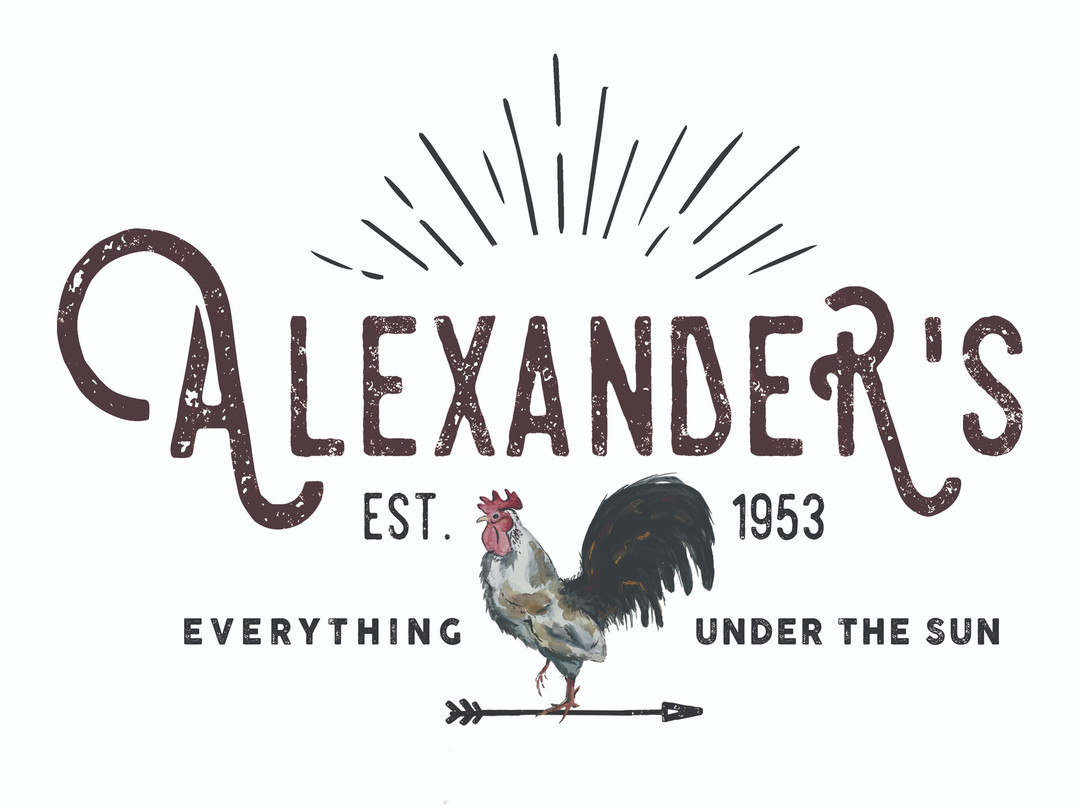 Alexander's Store-Blairsville必去景点