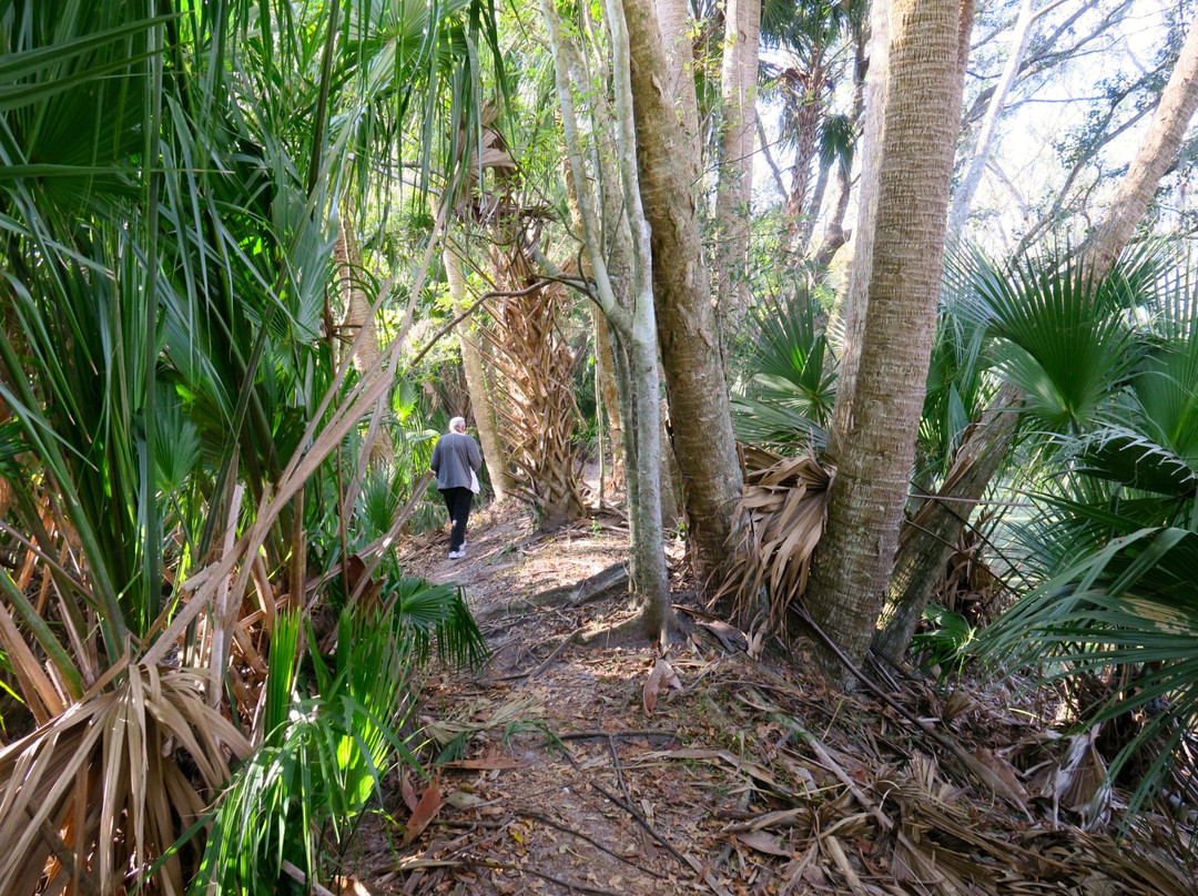 Black Bear Wilderness Area