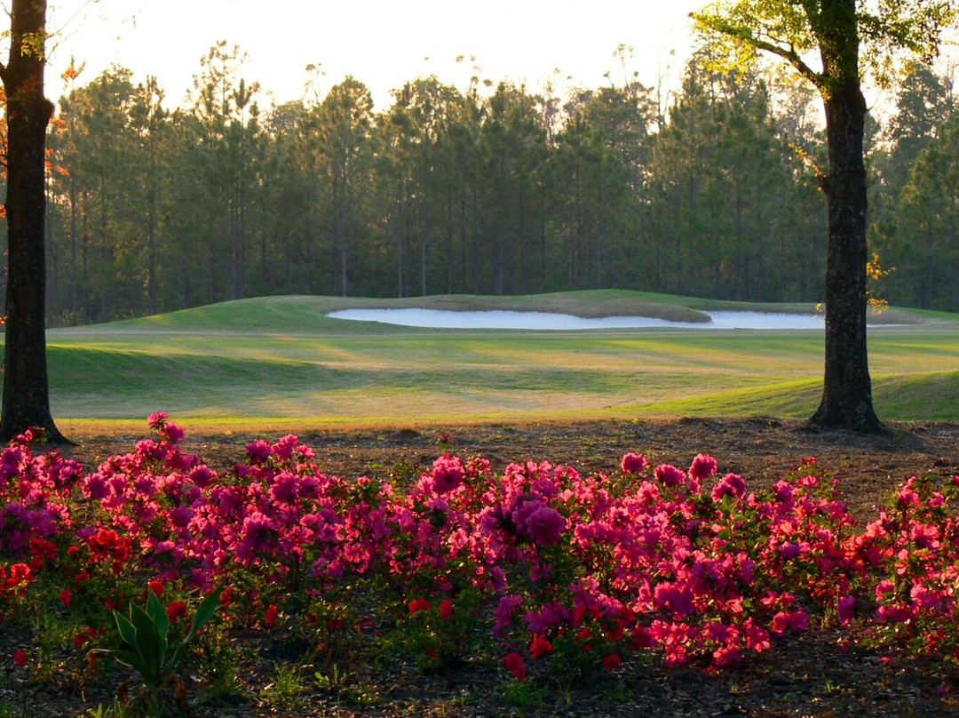 Eagle Landing Golf Club-橙园必去景点
