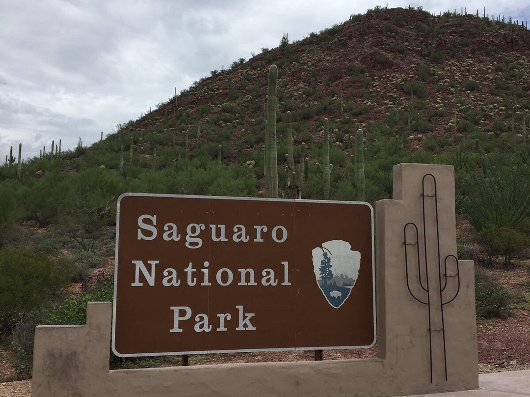 Saguaro National Park景点图片