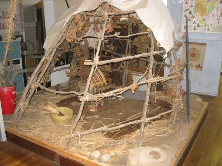 Willcox旅游景点-Chiricahua Regional Museum