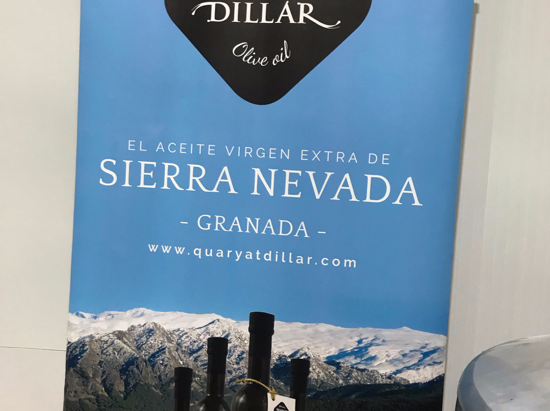 Olive Oil Tour-格拉纳达必去景点