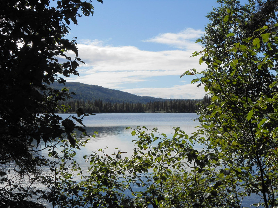 塔尔基特纳旅游景点-Byers Lake