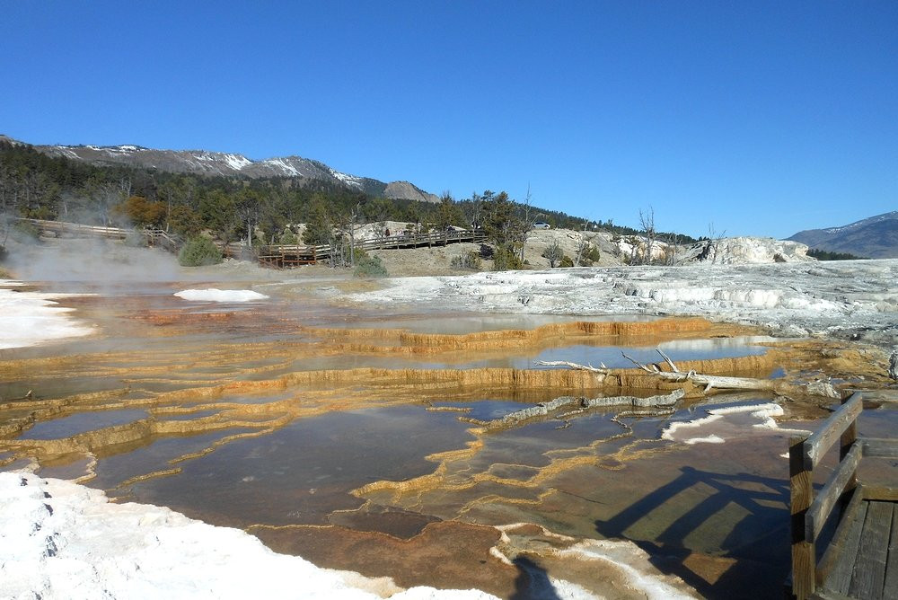 Terrace Mountain-黄石国家公园必去景点