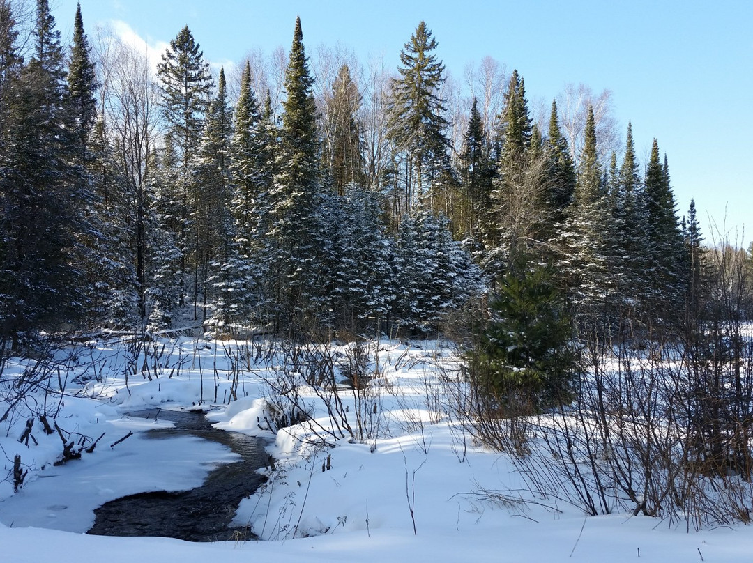 Minocqua Winter Park & Nordic Center景点图片