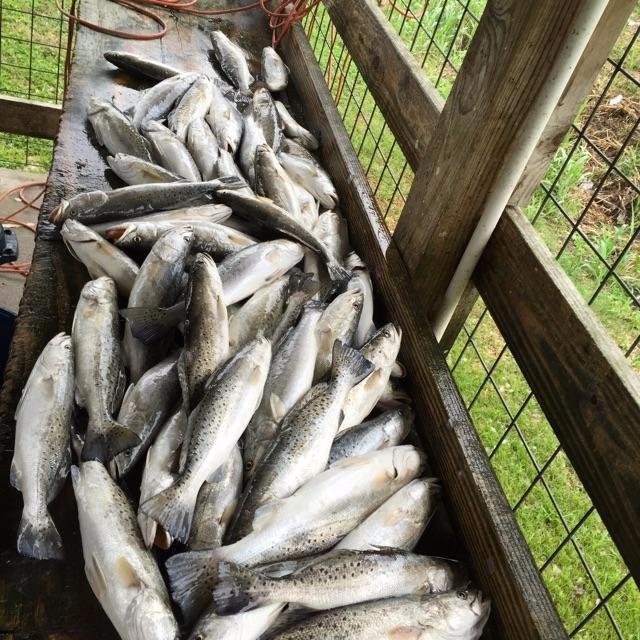 Jason Catchings Hunting and Fishing Adventures-Liberty必去景点