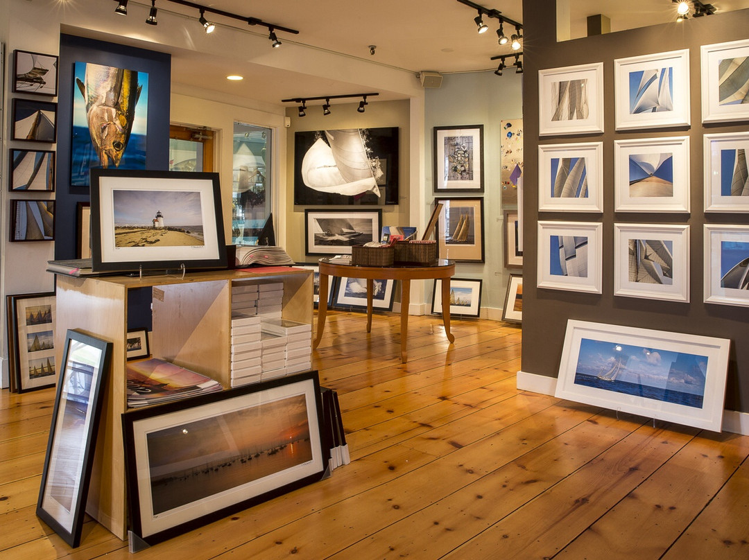 Onne Van Der Wal Gallery-纽波特必去景点