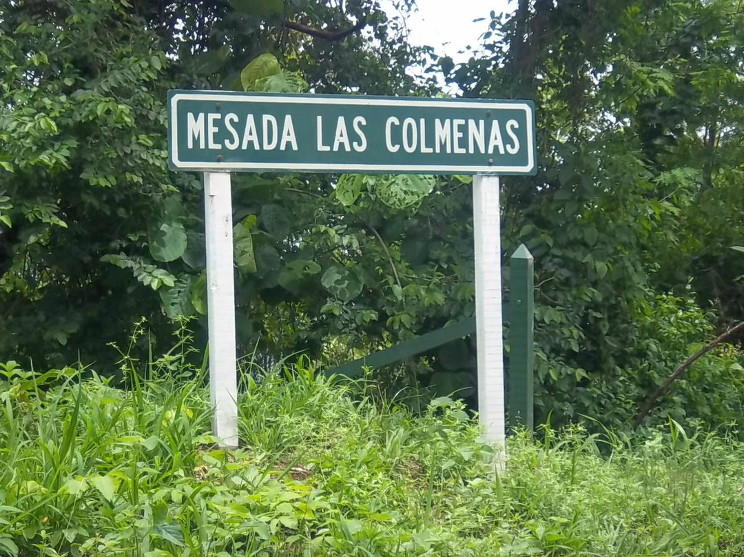 Mesada de las Colmenas景点图片