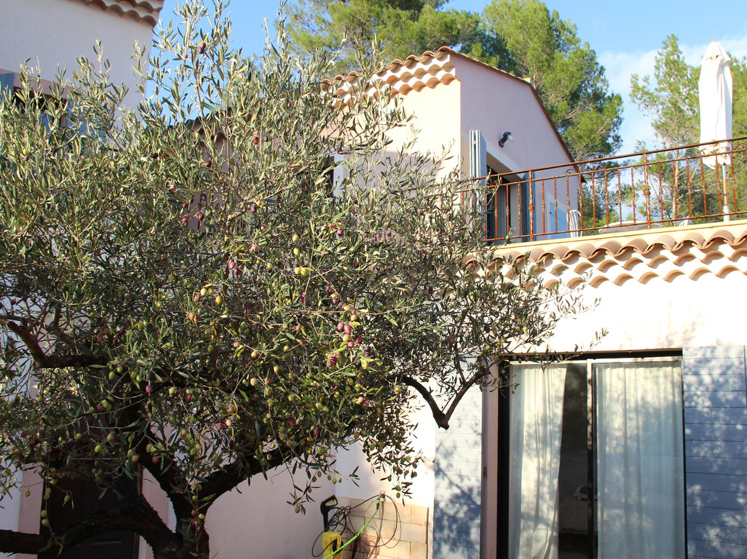 O Patio du Mas