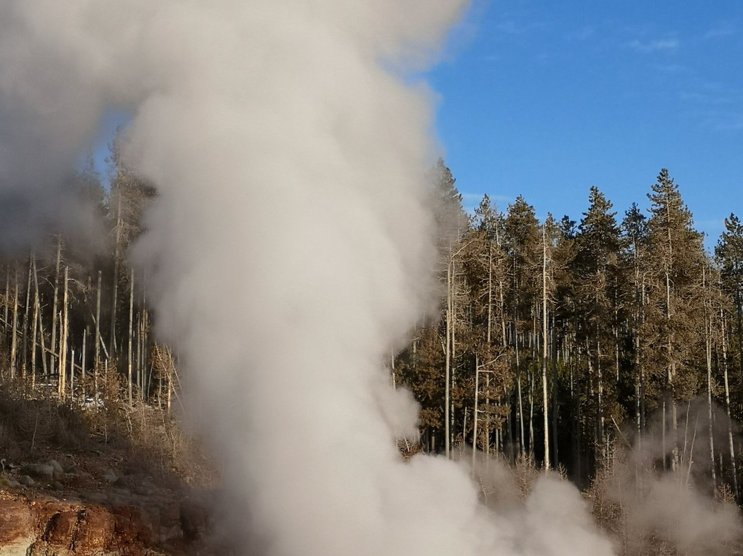 Yellowstone National Park景点图片