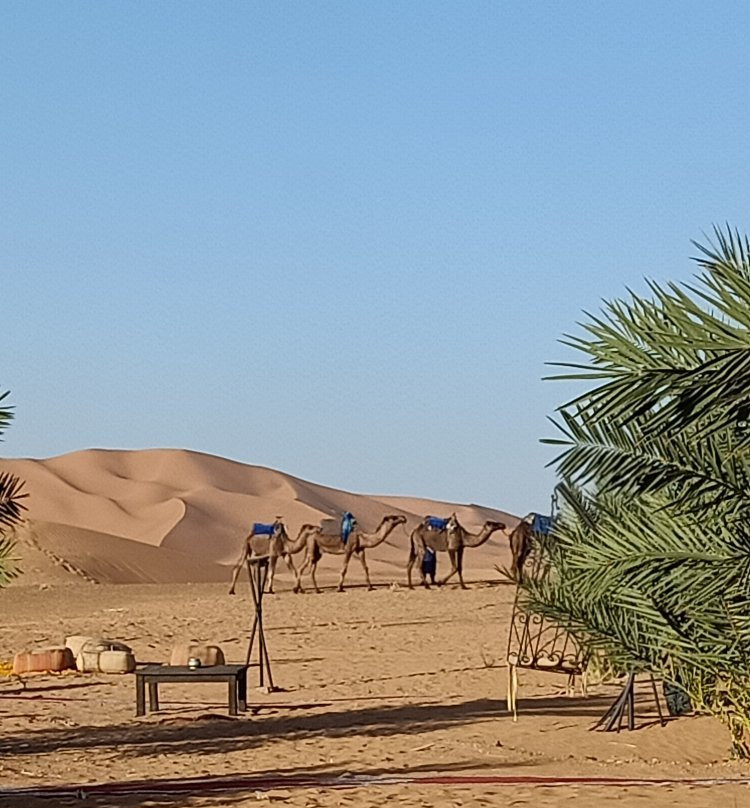 Excellent Tours-瓦尔扎扎特必去景点