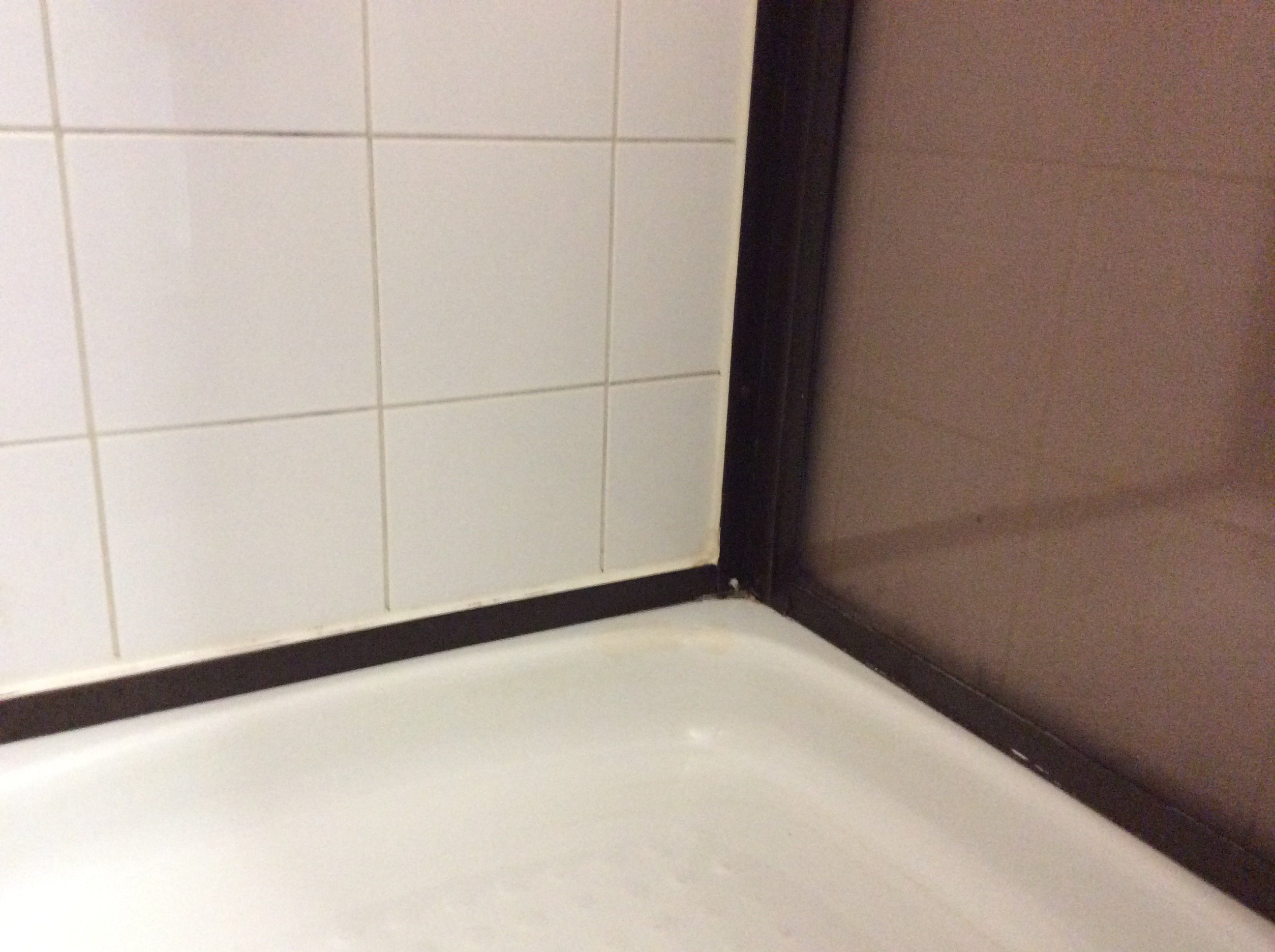 Hotel Roz-浴室