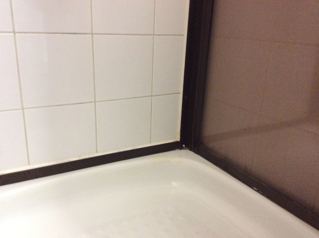 Hotel Roz主图