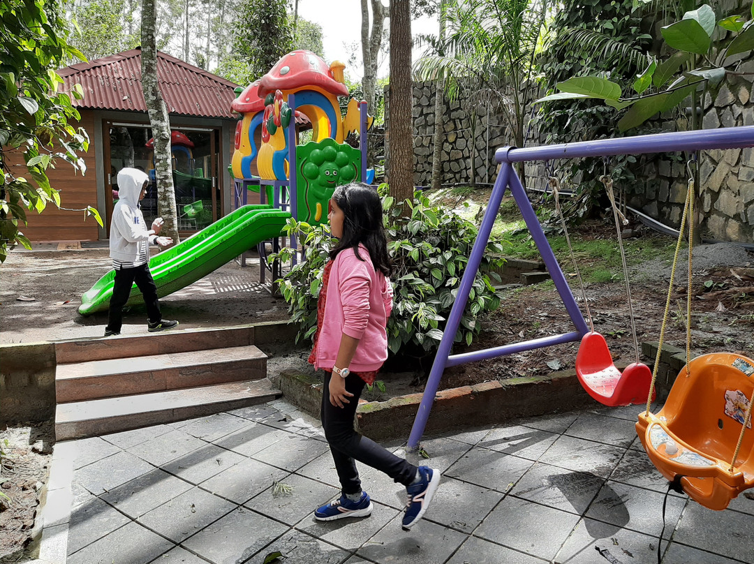 The Brook Resorts & Spa主图