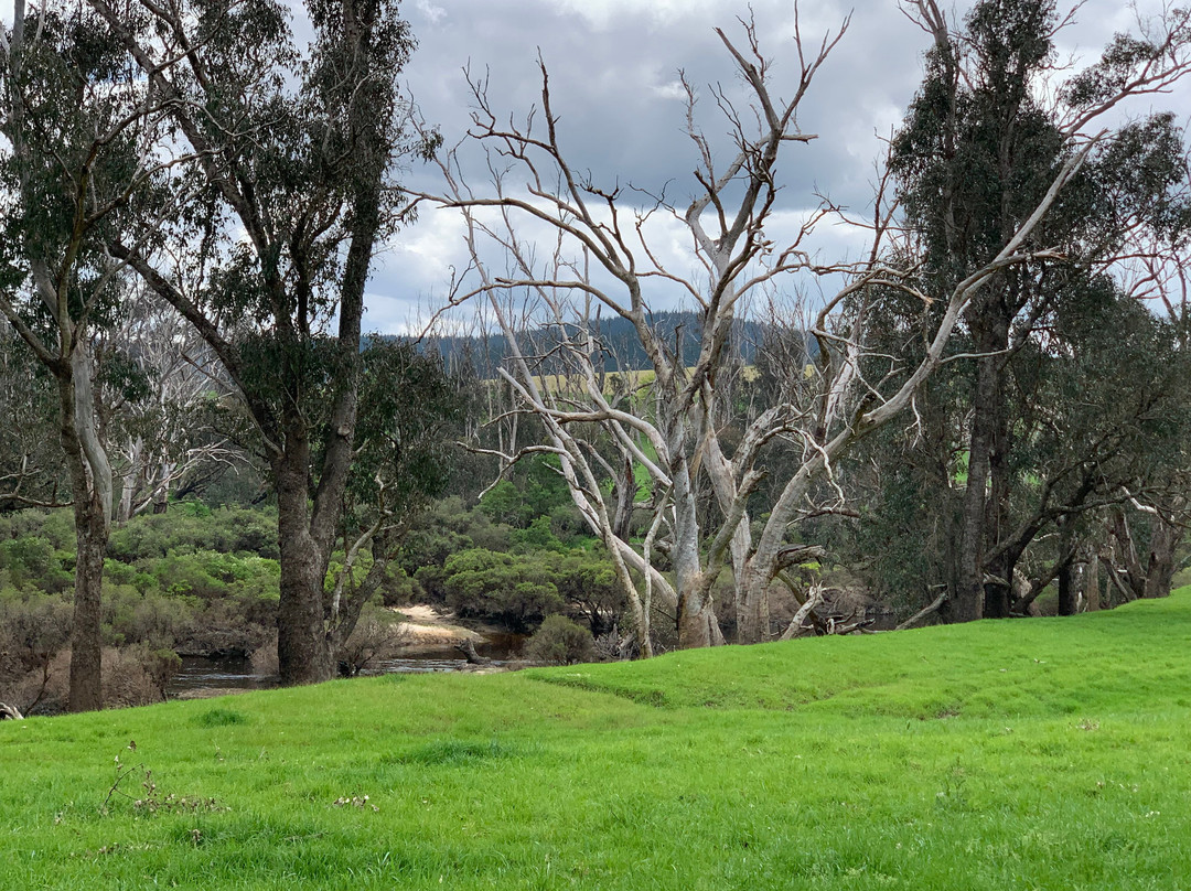 Blackwood River Tourist Drive景点图片