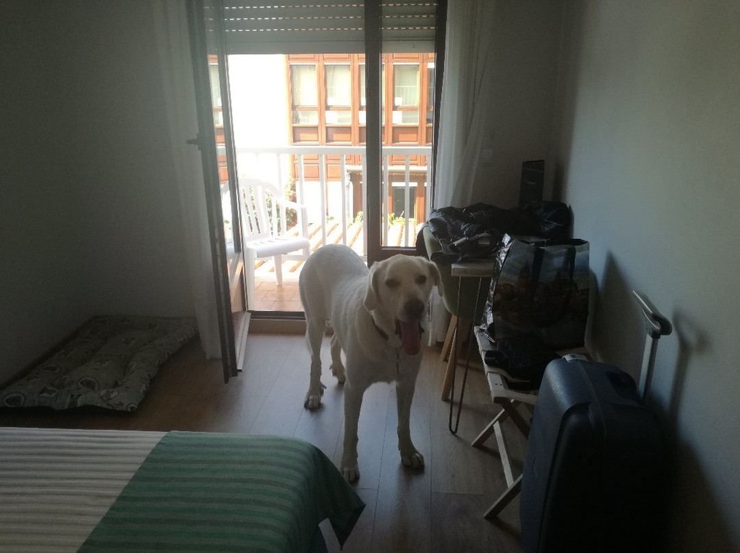 Hotel Bemon Playa主图