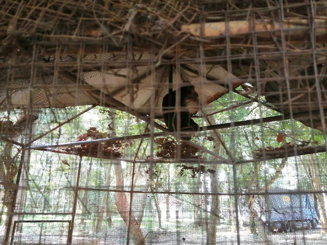 Inpeng Ethnic Culture Park景点图片
