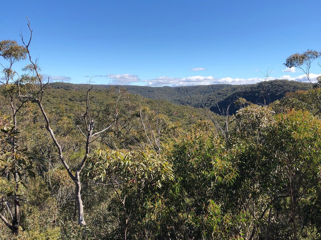 Shirlow Road Fire Trail景点图片