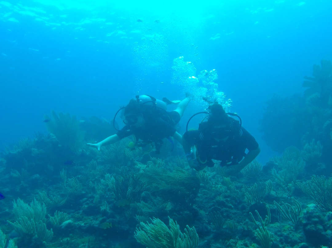Mayan Underworld Diving-坎昆必去景点