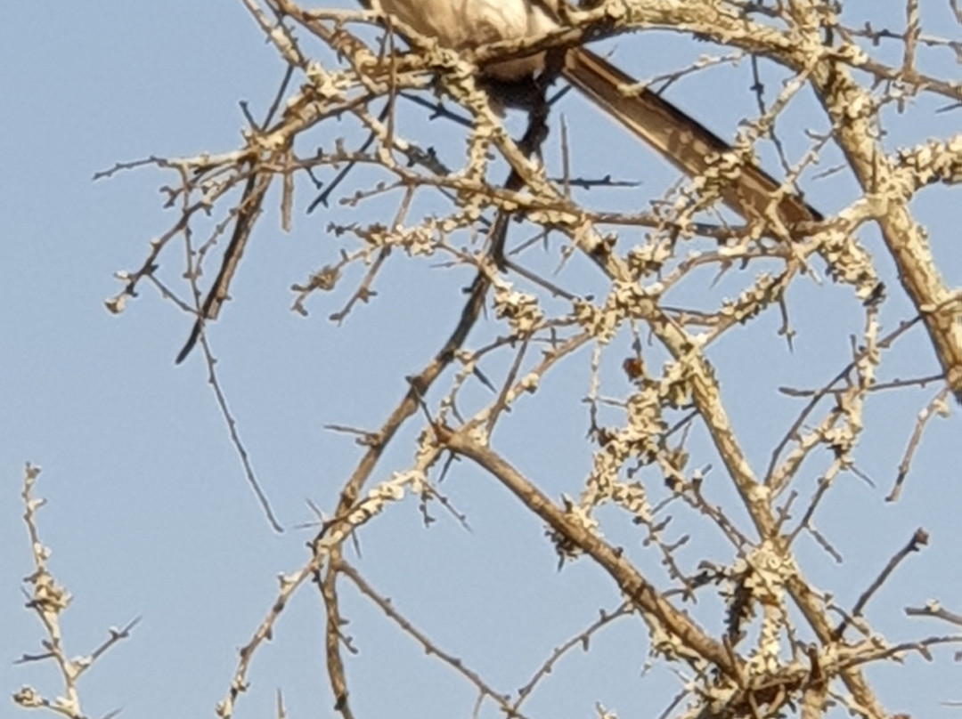 Buffalo Hills Safari Lodge主图