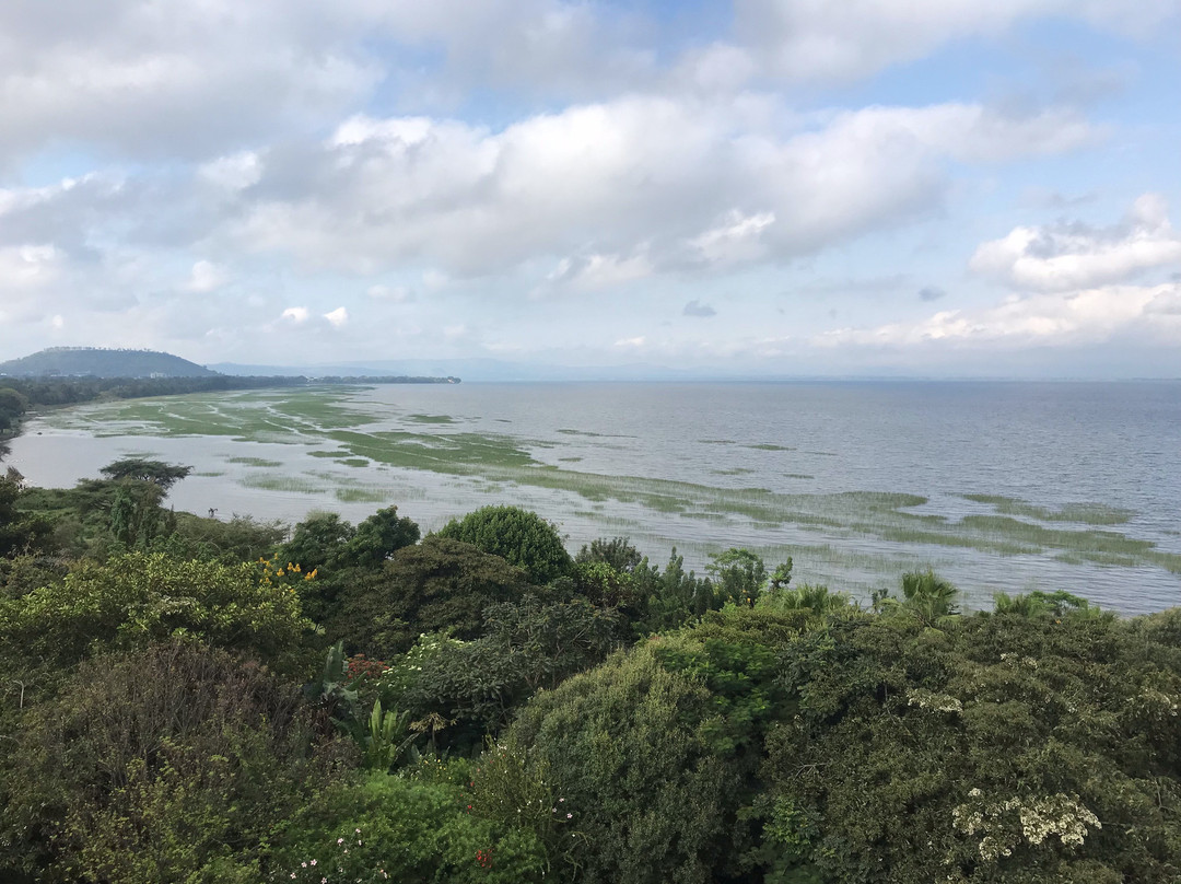 Haile Resort Hawassa主图
