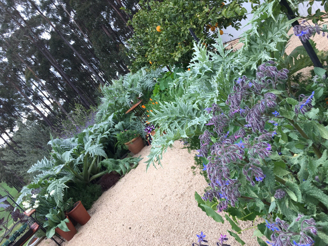 Vue at Jindivick Eco Bed and Breakfast主图