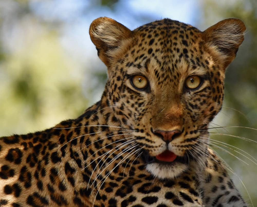 null-南卢安瓜国家公园