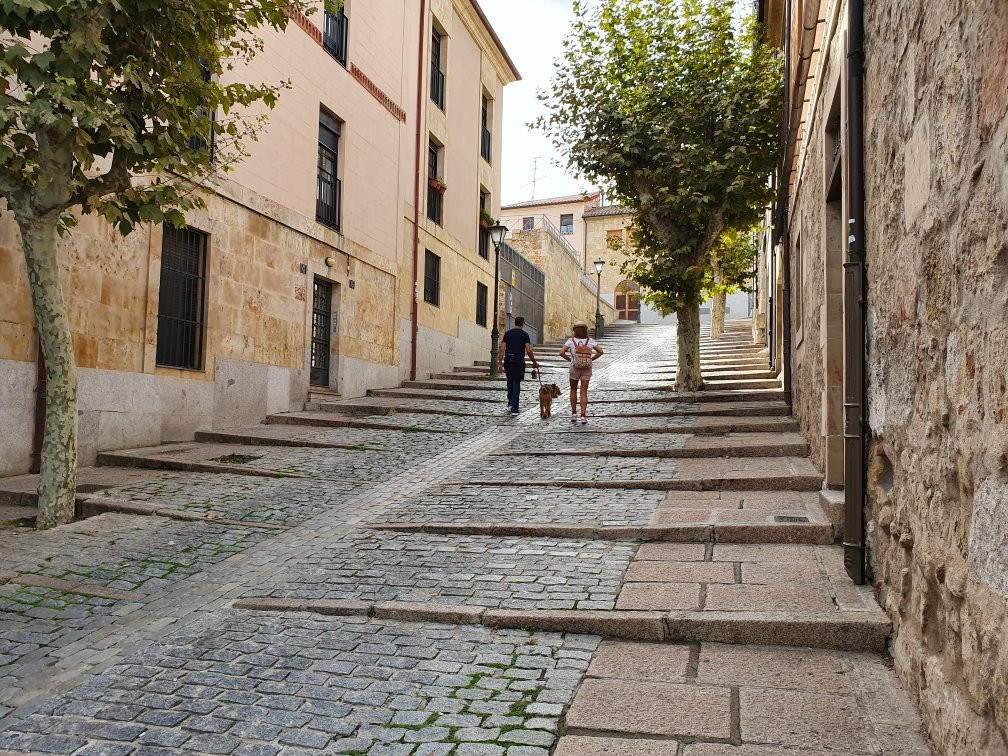 Cueva de Salamanca-萨拉曼卡必去景点