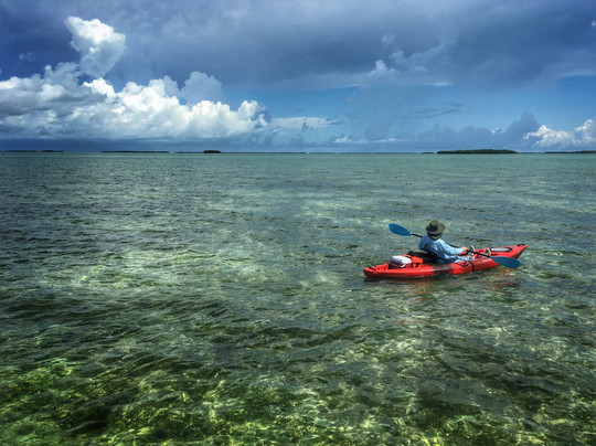 Red Mangrove Kayaking-基韦斯特必去景点