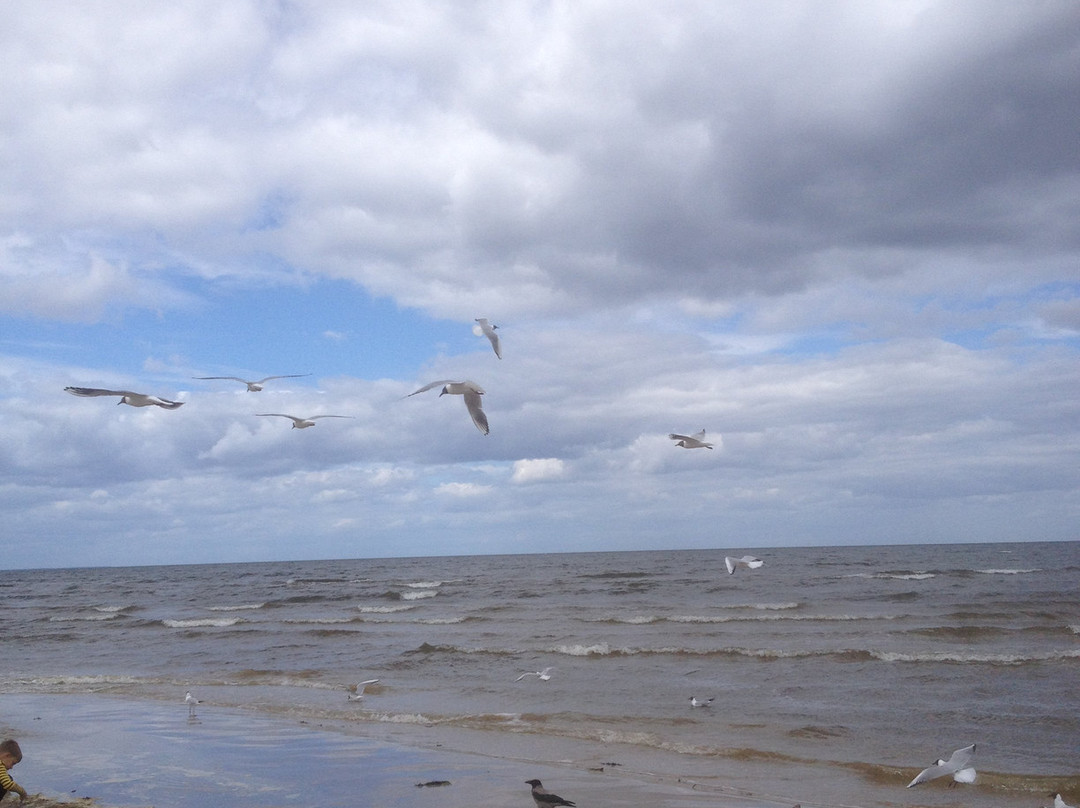 Jurmala Beach-尤尔马拉必去景点