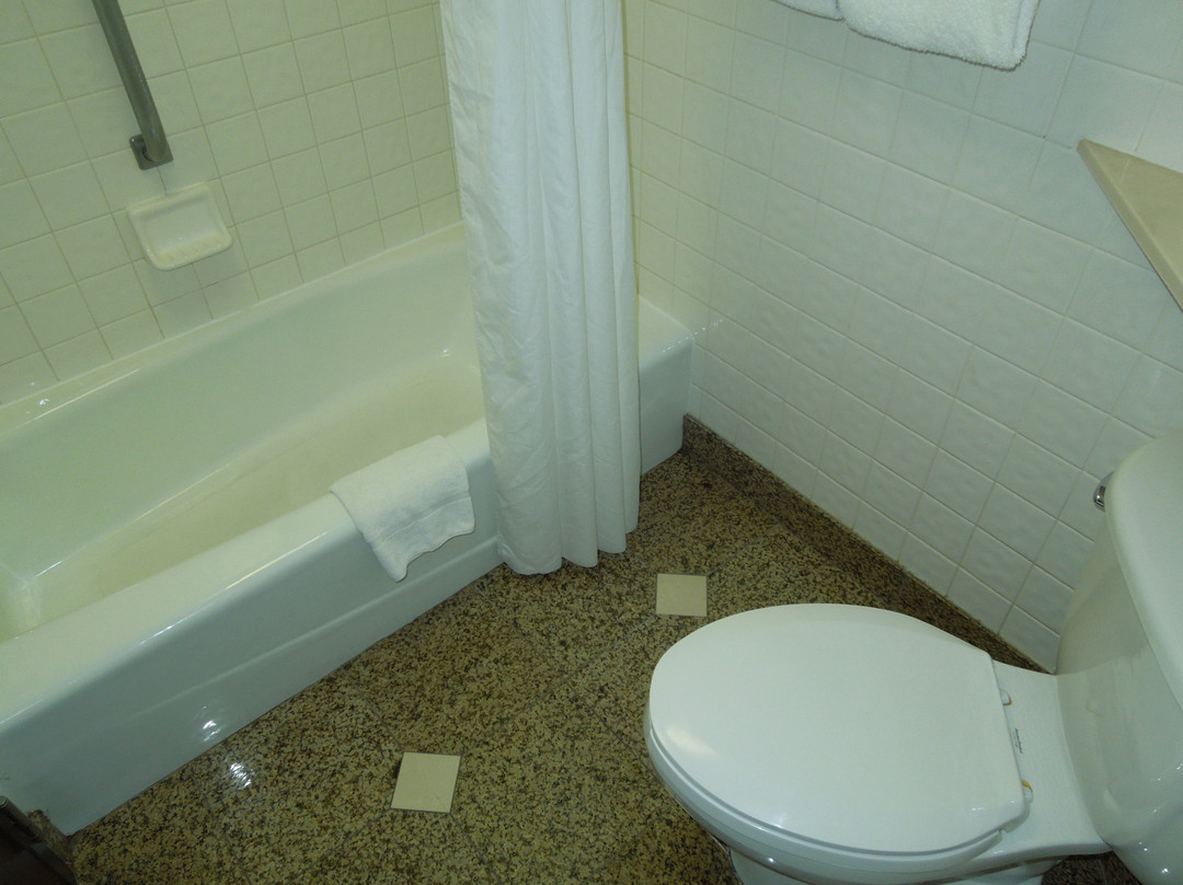 Pear Tree Inn St. Louis Convention Center主图