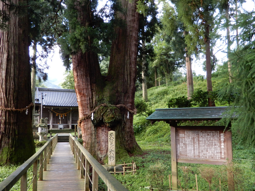 Great sugi of Kayano景点图片