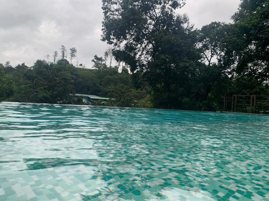 Vythiri Village Resort主图