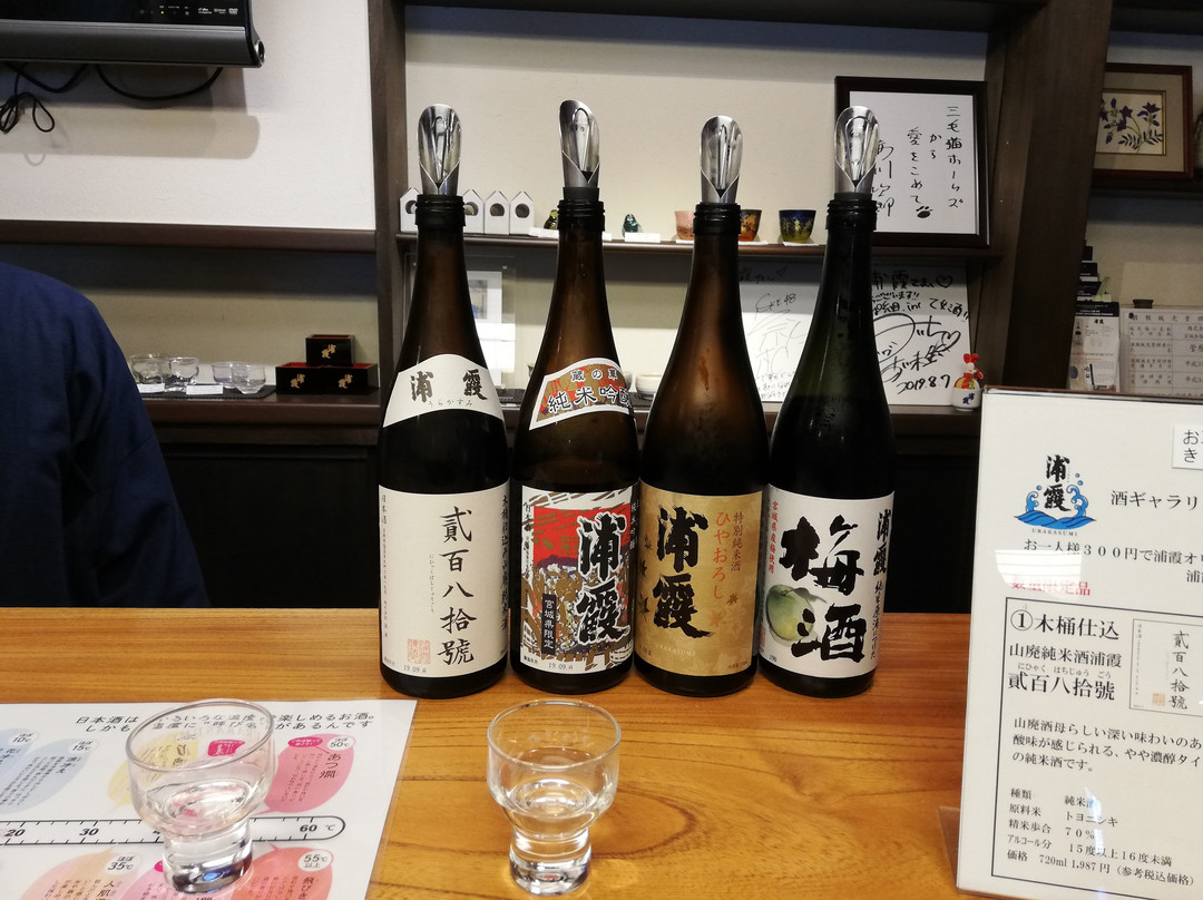 Urakasumijyozomotosaura-盐灶市必去景点
