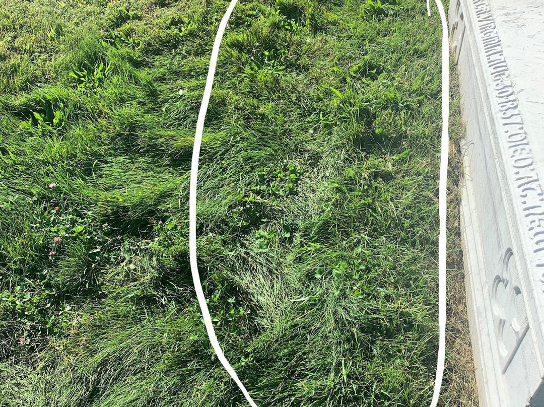 Albany Rural Cemetery-Menands必去景点