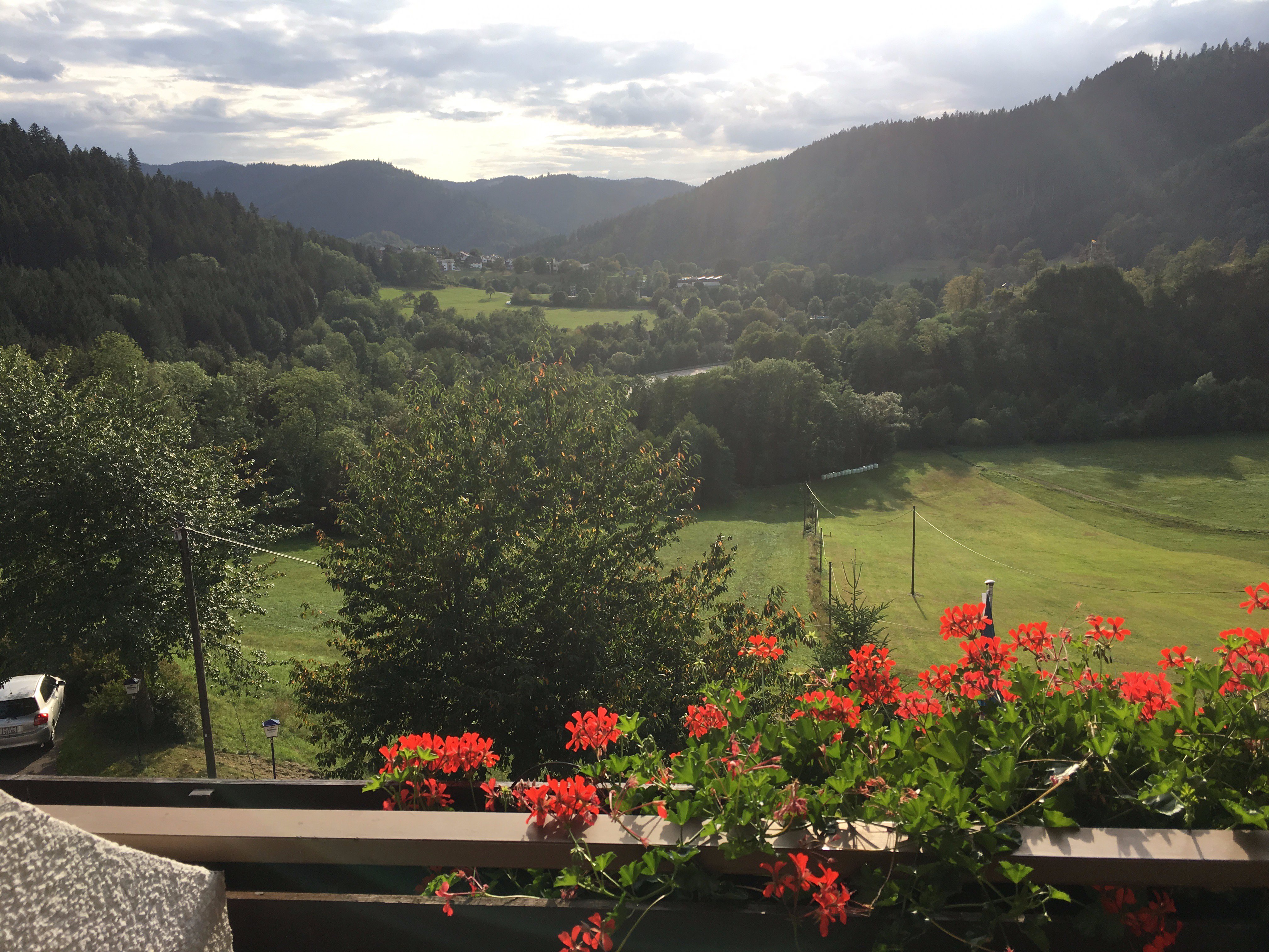 Hotel Winterhaldenhof-酒店景观
