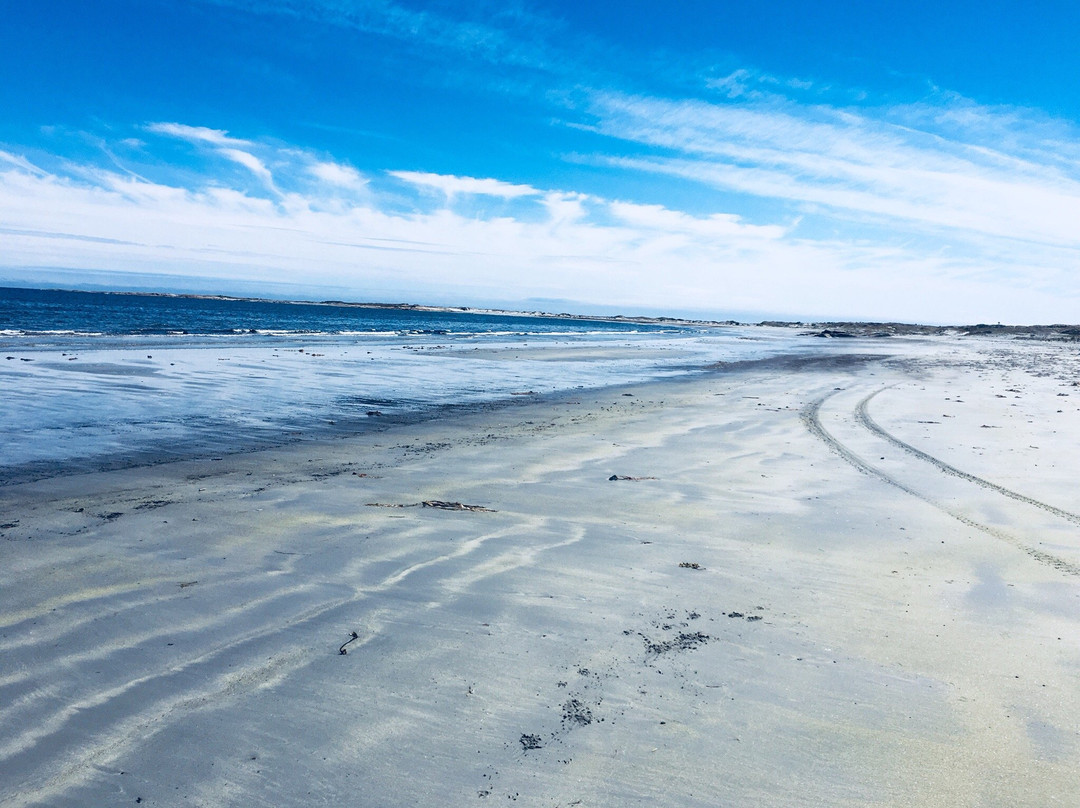 Cape Island Walking Trail景点图片