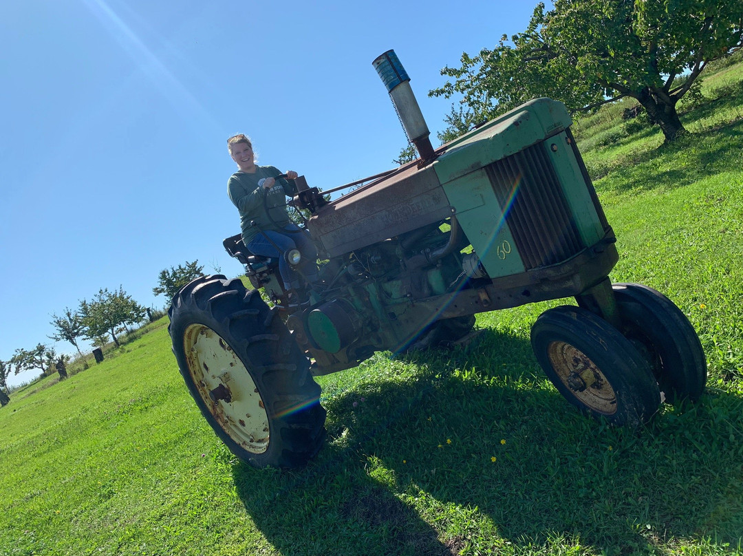 The Jam Farm-拉丁顿必去景点