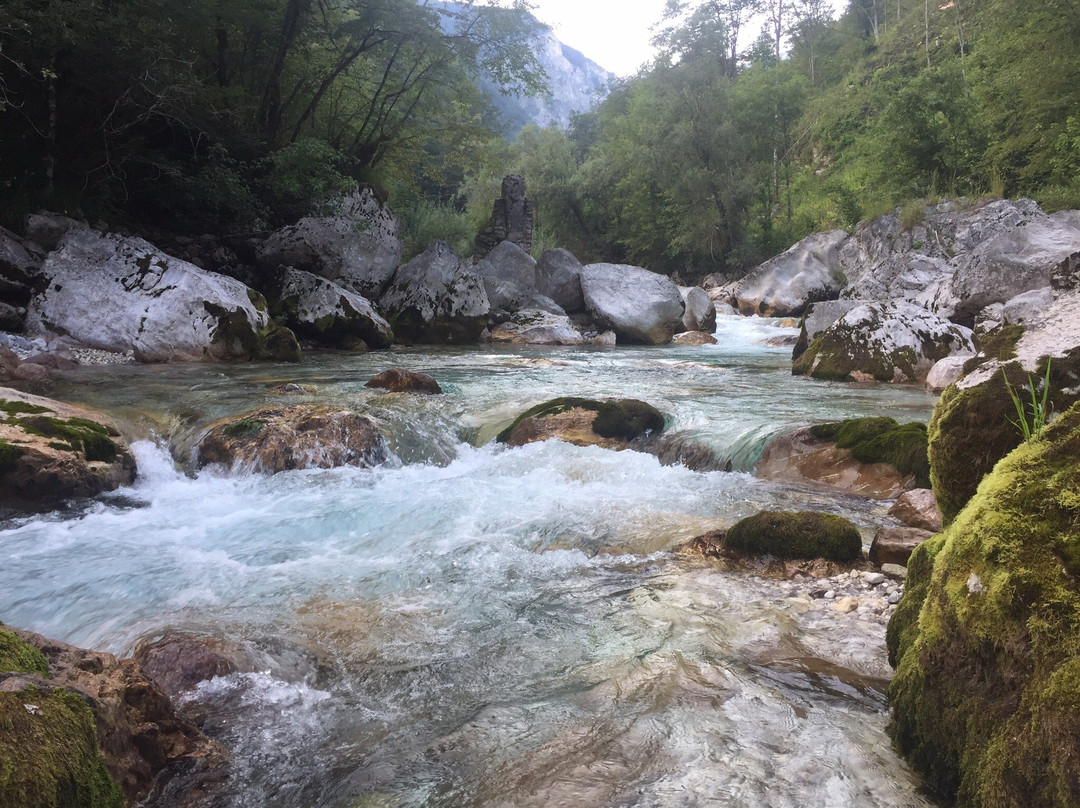 Ekološka turistična Kmetija Pri Lovrču