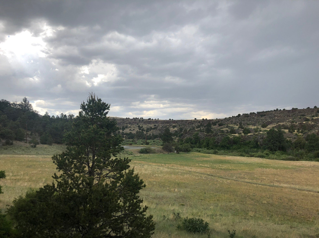 X Diamond & MLY Ranch主图